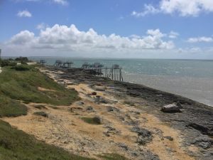 IMG_4443.jpeg