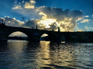 IMG_3560.jpeg